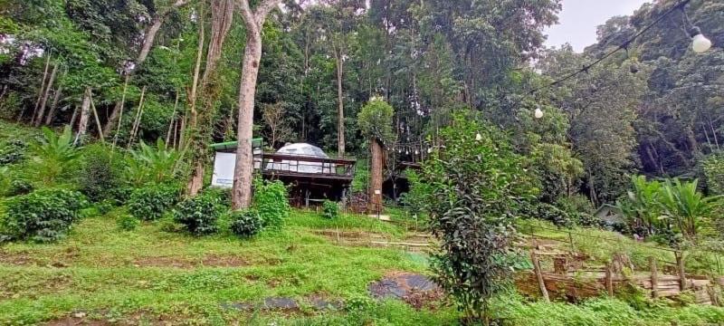 فندق เตนท์โดมชายดอย ดอยแม่แจ๋ม ลำปาง Ban Mai  المظهر الخارجي الصورة